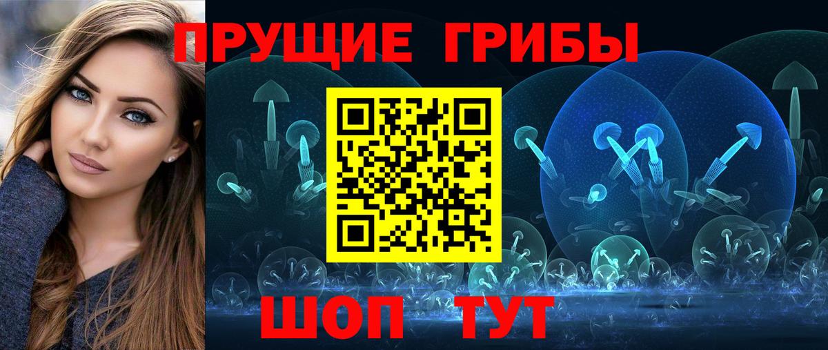 Галлюциногенные грибы Magic Shrooms  Вход с VPN  Братск  хочу   Псилоцибиновые грибы MAGIC MUSHROOMS 